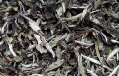 福鼎大白茶和小白茶的区别 福鼎大白茶和老白茶的区别