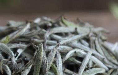 白毫银针如何挑选（白毫银针如何挑选最好）