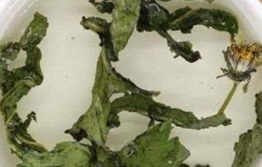 婆婆丁泡水喝的功效与作用（鹅蛋煮婆婆丁泡水喝的功效与作用）