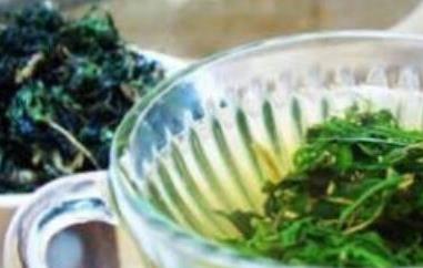 泡苦菜茶有什么好处（泡苦菜茶有什么好处与坏处）