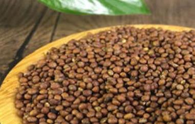 苏子籽怎么吃（苏子籽的功效与作用 苏子籽怎么吃）