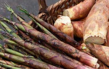 春笋和冬笋的区别是什么（春笋和冬笋的区别是什么意思）