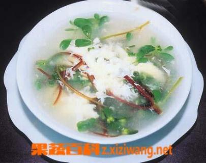 鱼腥草粥的功效 鱼腥草熬粥的功效