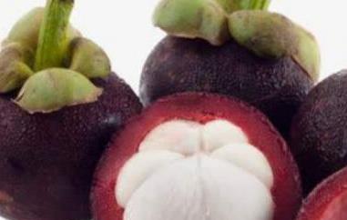 吃山竹皮有什么好处（山竹皮有什么功效）