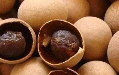 干桂圆的功效和作用(干桂圆的功效和作用禁忌)