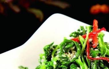 芹菜叶的吃法有哪些(芹菜叶的吃法有哪些好处)