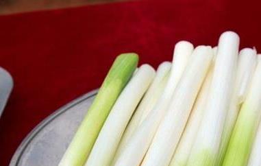 葱白的营养价值（葱白的营养价值高吗）