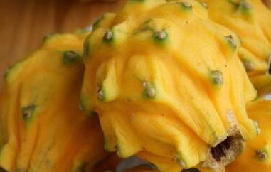 麒麟果的功效与作用及禁忌（麒麟果的功效与作用及禁忌症是什么）