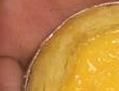 蛋挞水的做法大全（蛋挞水的做法大全简单）