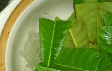 枇杷茶喝了有什么好处 枇杷泡茶有什么好处