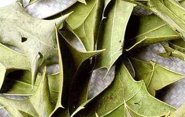 八角茶是什么茶（八角茶是什么茶类）