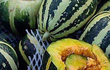 冰糖子瓜怎么吃（冰糖子瓜怎么吃治咳嗽）