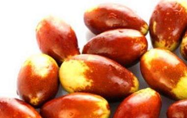 马牙枣 马牙枣怎么保存
