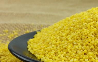 小米的营养价值（小米的营养价值和适用人群）