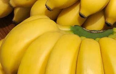 木香蕉的功效与作用及药用价值（香蕉的营养价值）
