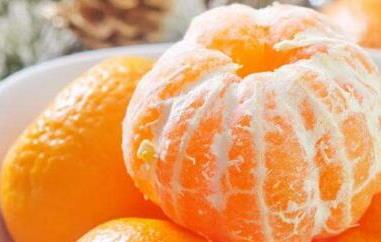 贡桔的功效与作用及禁忌 贡桔的功效与作用及禁忌症