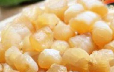 干贝怎么泡发最好（干贝怎么泡发最好不腥）