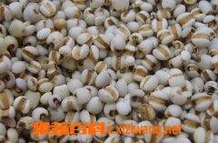 燕麦和薏米的营养价值 燕麦米的功效与作用