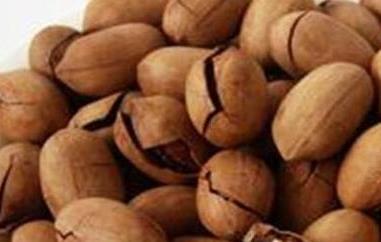 长寿果的功效与作用 新疆长寿果的功效与作用