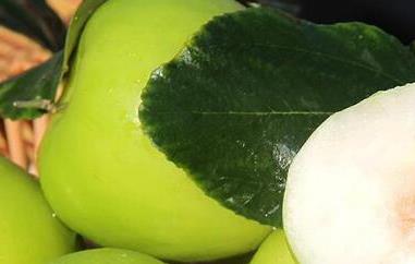 台湾青枣的功效与作用及禁忌 青枣的功效与作用及禁忌的功效与作用