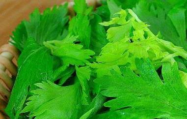 芹菜叶子怎么用 芹菜叶子怎么用淀粉粉