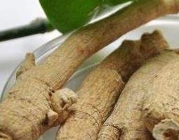 参头和参身的功效与区别 参头和参身的功效与区别图片