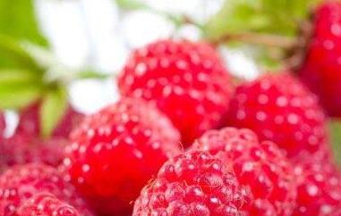 覆盆子茶的功效与作用有哪些（覆盆子花茶功效与作用）