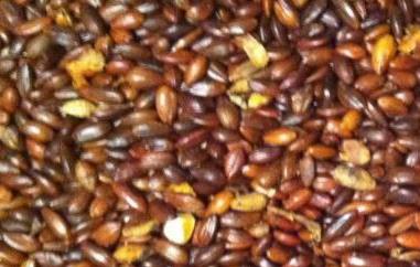 沙棘籽泡水喝的功效与作用 沙棘籽泡水喝的功效与作用是什么