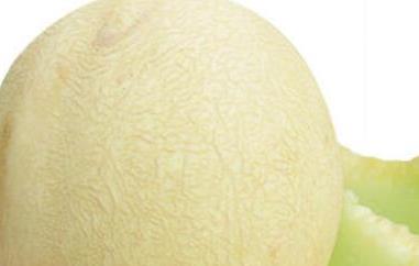 白兰瓜和哈密瓜的区别（白兰瓜和哈密瓜的区别图片）