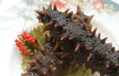 辽参的功效和作用及禁忌 辽参的功效和作用及禁忌是什么