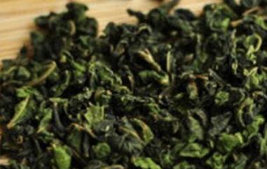 桑叶茶的功效与作用（桑叶茶的功效与作用及禁忌）