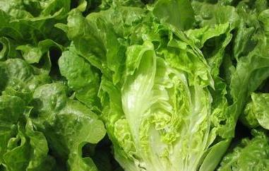 生菜怎么洗才没有寄生虫 生菜上有很多虫子怎么洗干净