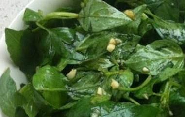 荆芥菜怎么吃（河南荆芥菜怎么吃）