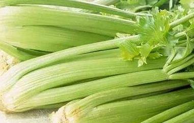 女人吃芹菜的好处与坏处（女人吃芹菜的好处与坏处有哪些）