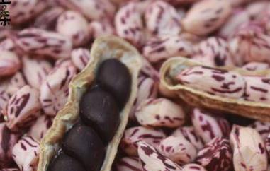 七彩花生的功效与作用（七彩花生的功效与作用上海属于浙江省类吗）