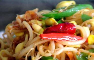 黄豆芽怎么做好吃（黄豆芽怎么发豆芽的步骤）