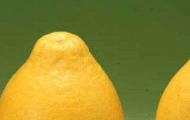 大柚子的功效与作用及禁忌(大柚子的功效与作用及禁忌症有哪些)