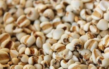 薏仁米的功效与作用及禁忌（红豆薏仁米的功效与作用及禁忌）