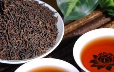 古树普洱茶如何泡（古树普洱茶如何泡制）