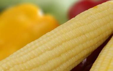 粘玉米的好处与营养价值(粘玉米的好处与营养价值有哪些)