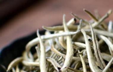 月光美人茶是什么茶 月光美人茶属于什么茶