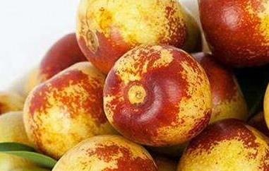 北枣的功效与作用及禁忌