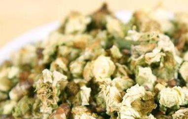白梅花茶的功效与作用（绿萼白梅花茶的功效与作用）
