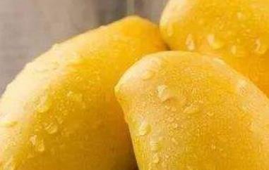 怎么区分芒果能不能吃 芒果不能吃?