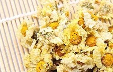 杭白菊的功效与作用及禁忌（杭白菊的功效与作用及禁忌的功效与作用）