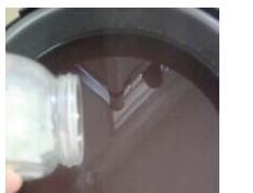 五色养颜粥的材料和做法步骤（五色养颜粥的材料和做法步骤作文）