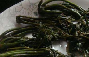 怎样腌香椿芽咸菜 怎样腌香椿芽咸菜窍门