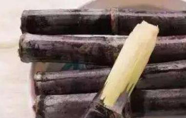 女人吃甘蔗的好处与坏处（女人吃甘蔗的好处与坏处图片）