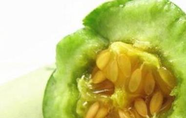 青酥瓜的功效与作用及食用方法 青酥瓜的功效与作用及食用方法视频