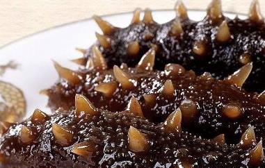 九类人群不适合吃海参（九类人群不适合吃海参小米）